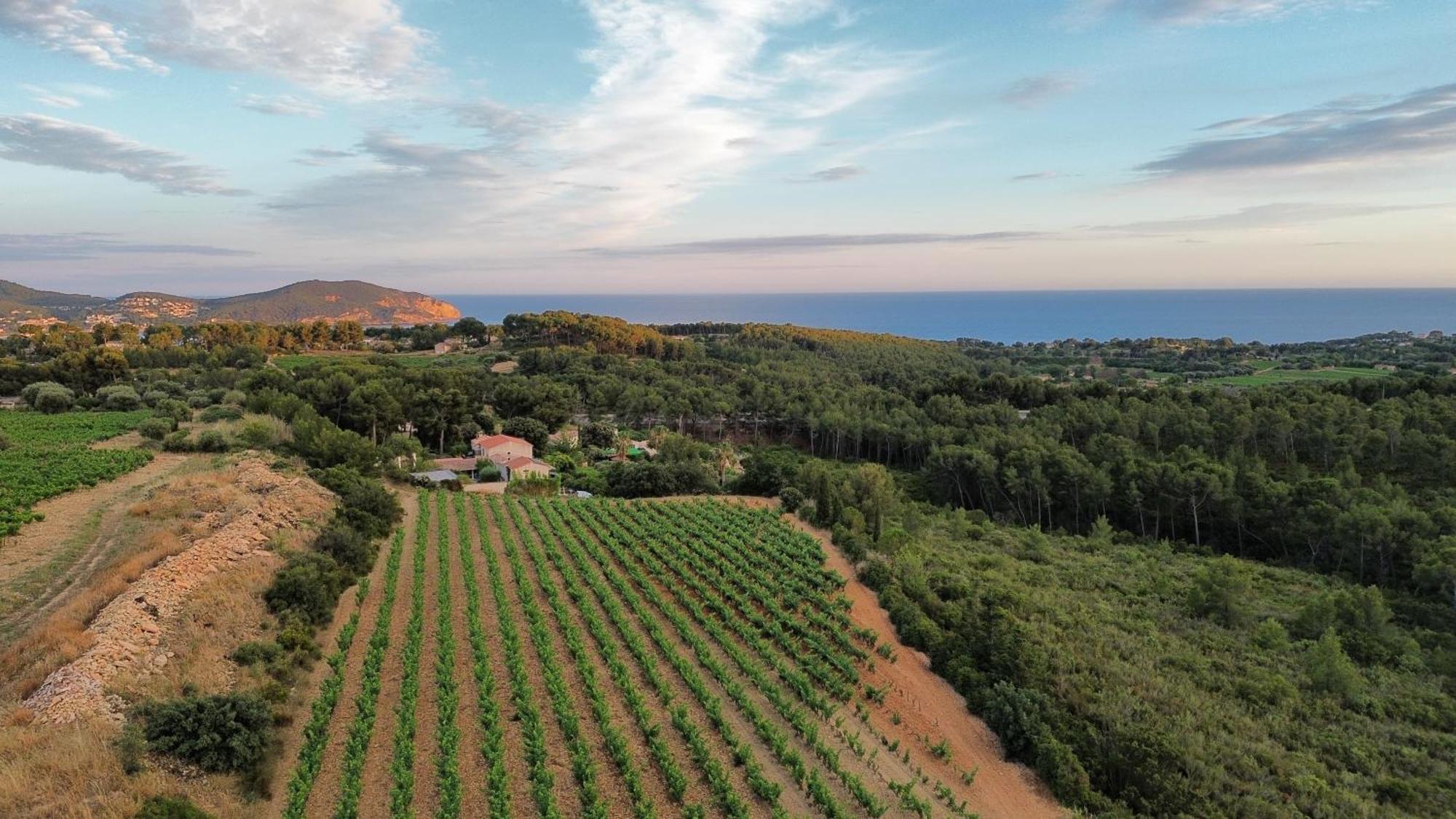 Gîte Vue Mer La Cadiere-d'Azur Exterior foto