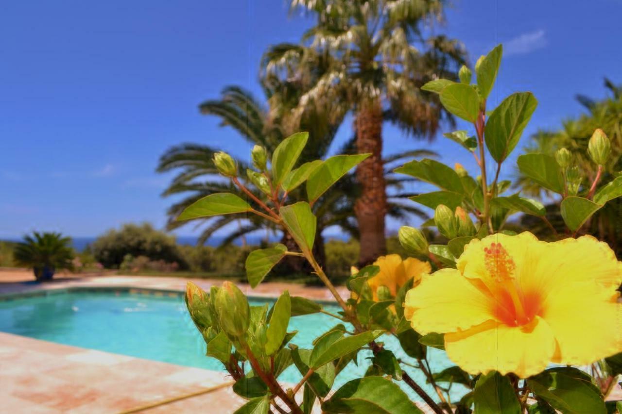 Gîte Vue Mer La Cadiere-d'Azur Exterior foto