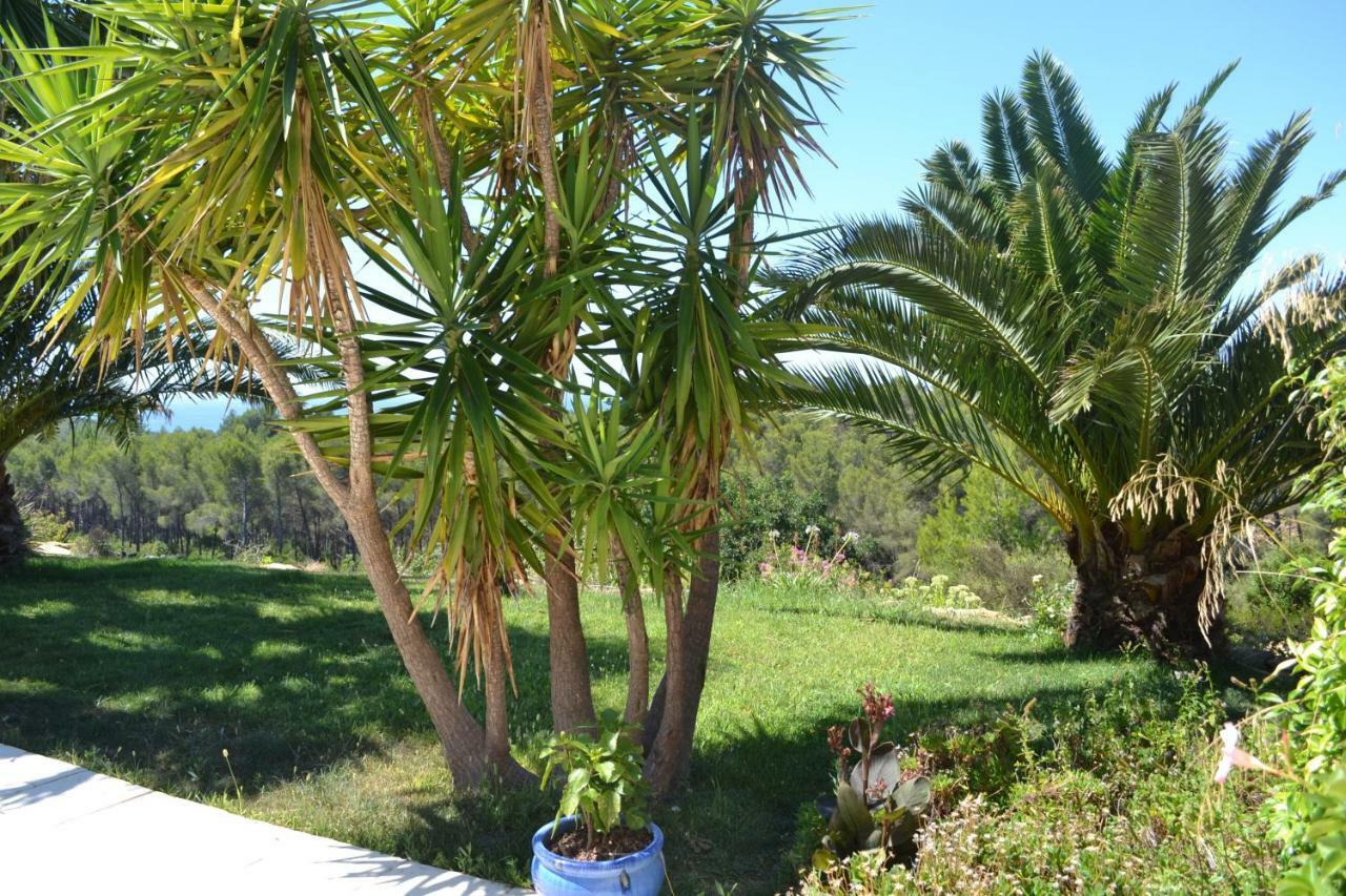 Gîte Vue Mer La Cadiere-d'Azur Exterior foto